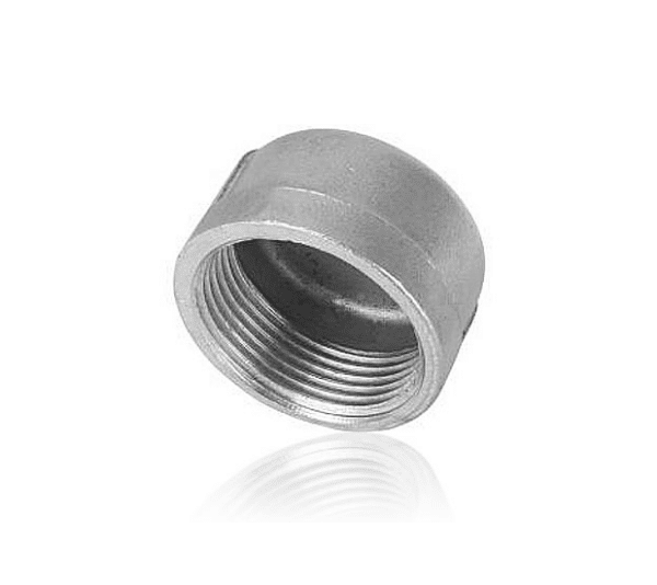 rvs 316 rond eindkap 1/2" bi